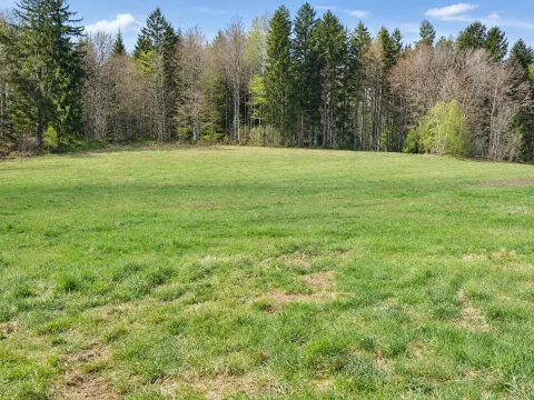 Landwirtschaftliche Fläche in Schwarzenberg, Bild 2 von 8
