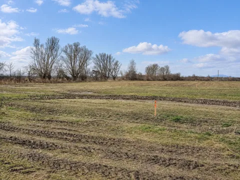 Baugrundstück in Siegersdorf, Bild 4 von 7