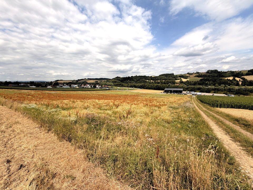 Gewerbegrund in Kematen am Innbach