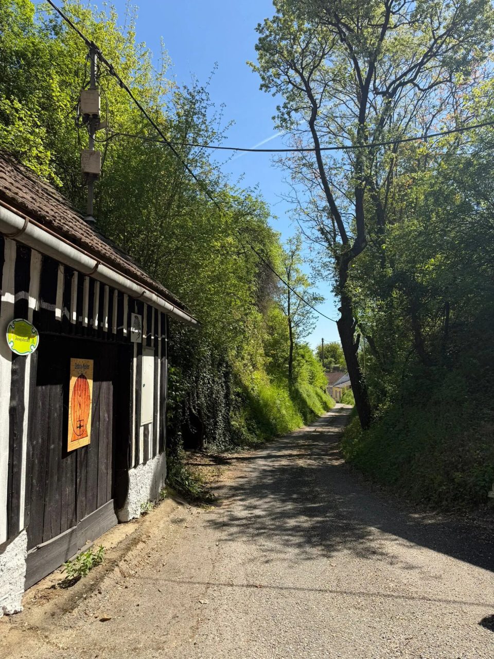 Immobilie in Wagram, Bild 10 von 11